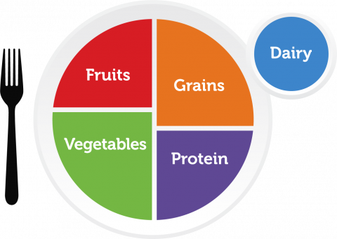 MyPlate with fruits grains vegetables and proteins