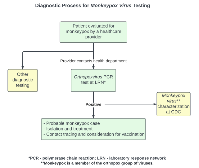 Monkeypox reporting