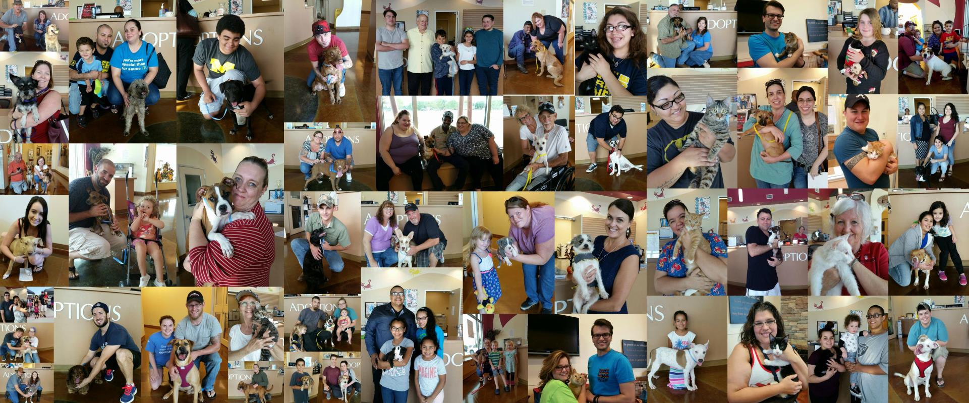 Collage of pet adoptions