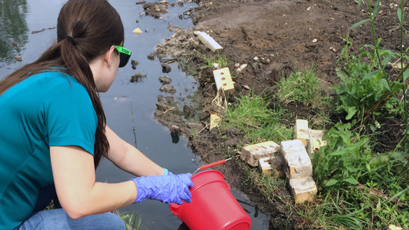 Water Sampling